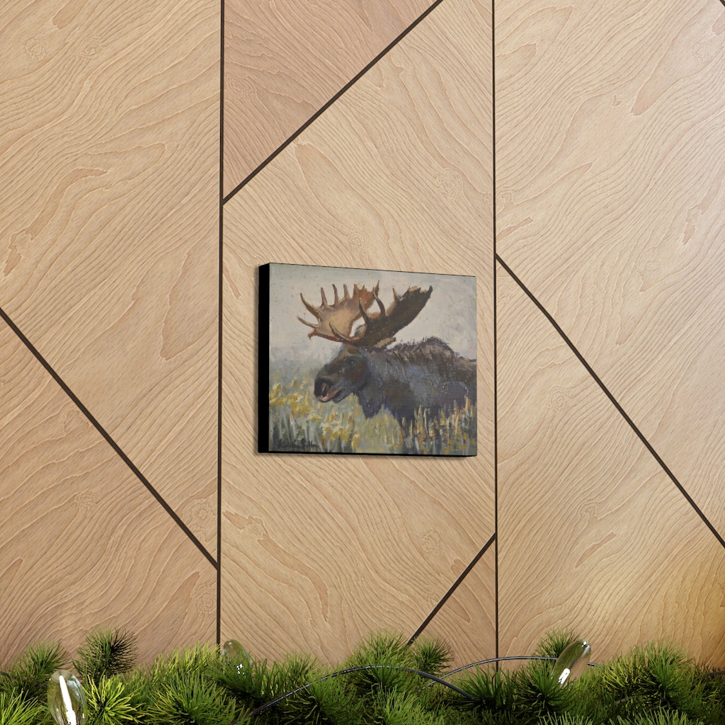 "Dark Chocolate Moose" by Kristina Sellers, Canvas Gallery Wraps