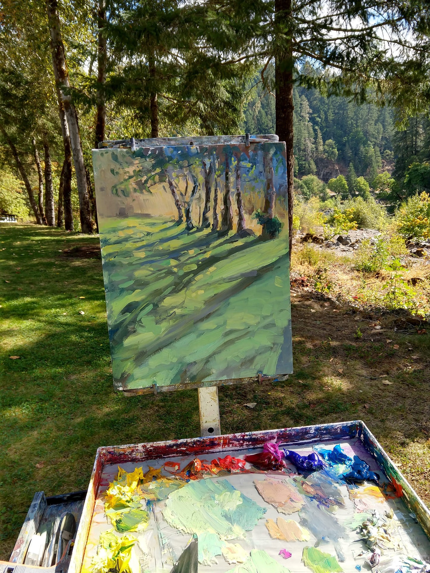 "Dancing Shadows" 14x11 original oil painting by Kristina Sellers