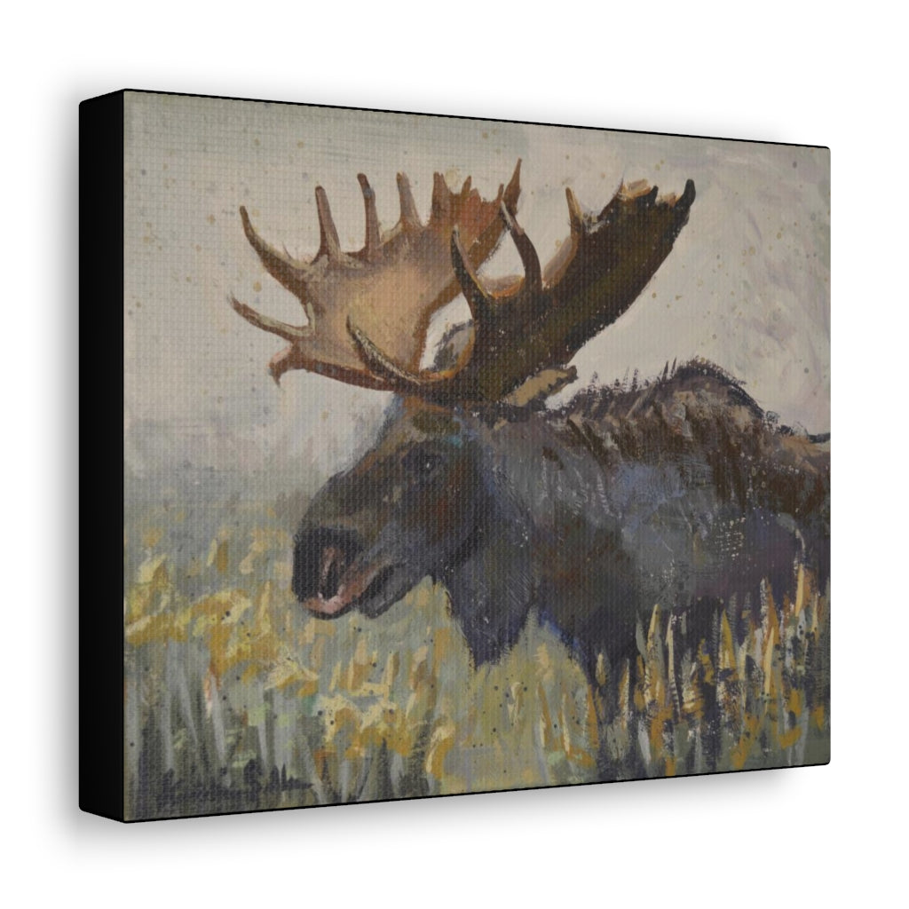 "Dark Chocolate Moose" by Kristina Sellers, Canvas Gallery Wraps
