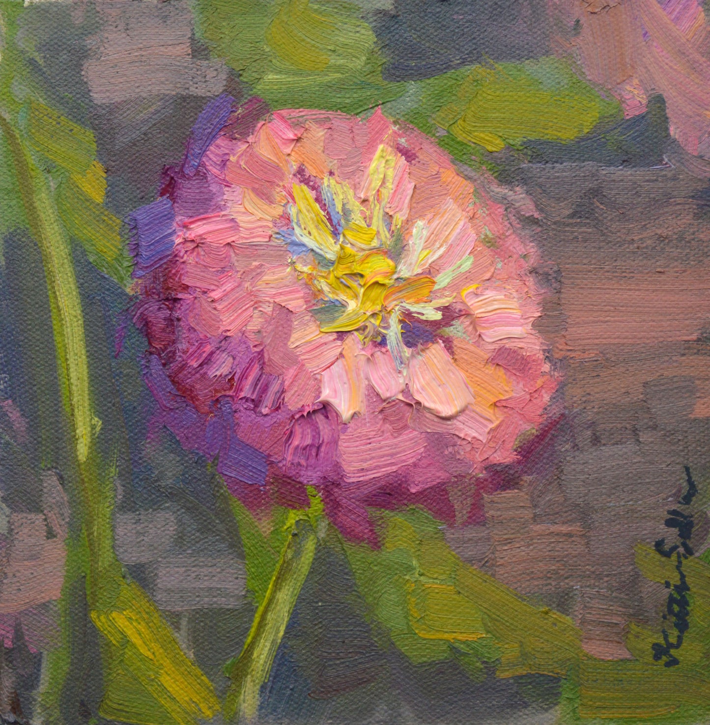"Pink Zinnia" 6x6 framed Original Oil Painting by Artist Kristina Sellers