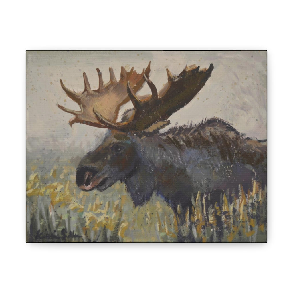 "Dark Chocolate Moose" by Kristina Sellers, Canvas Gallery Wraps