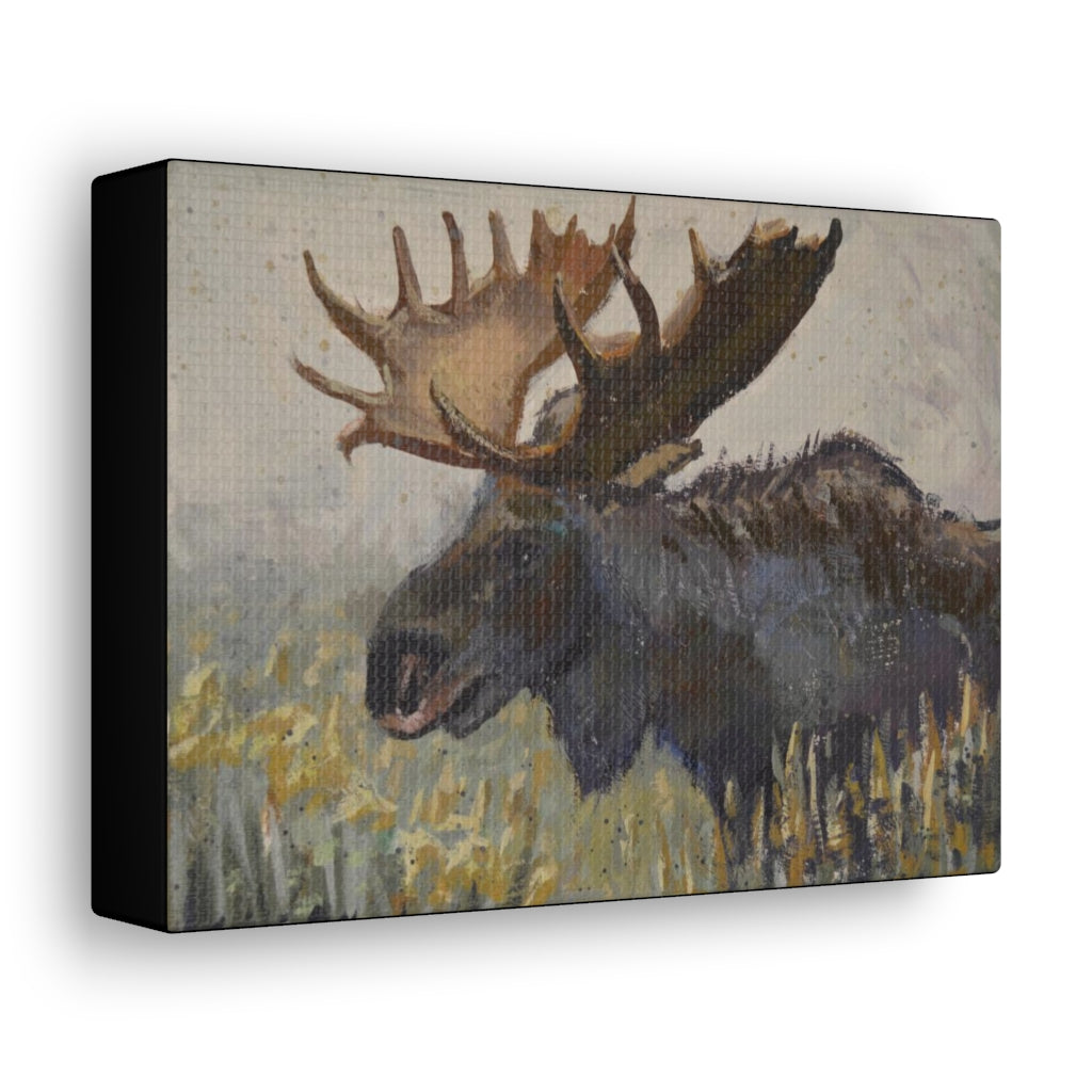 "Dark Chocolate Moose" by Kristina Sellers, Canvas Gallery Wraps