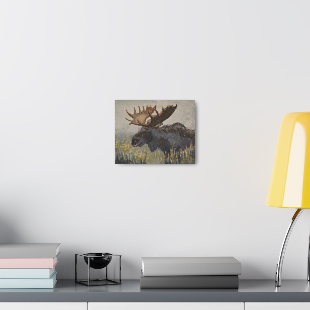"Dark Chocolate Moose" by Kristina Sellers, Canvas Gallery Wraps