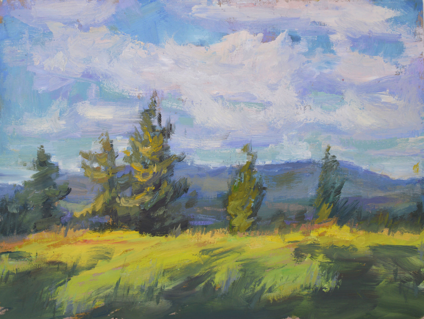 "Summer Afternoon" 11x14 Original Oil Painting by Artist Kristina Sellers