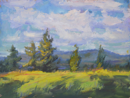 "Summer Afternoon" 11x14 Original Oil Painting by Artist Kristina Sellers