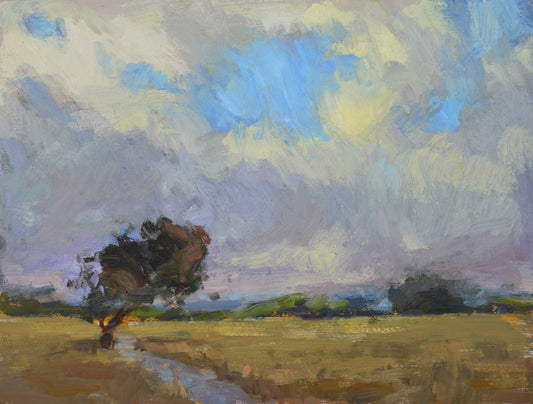 "Sauvie Skies" 9x12 Original Oil Painting by Artist Kristina Sellers