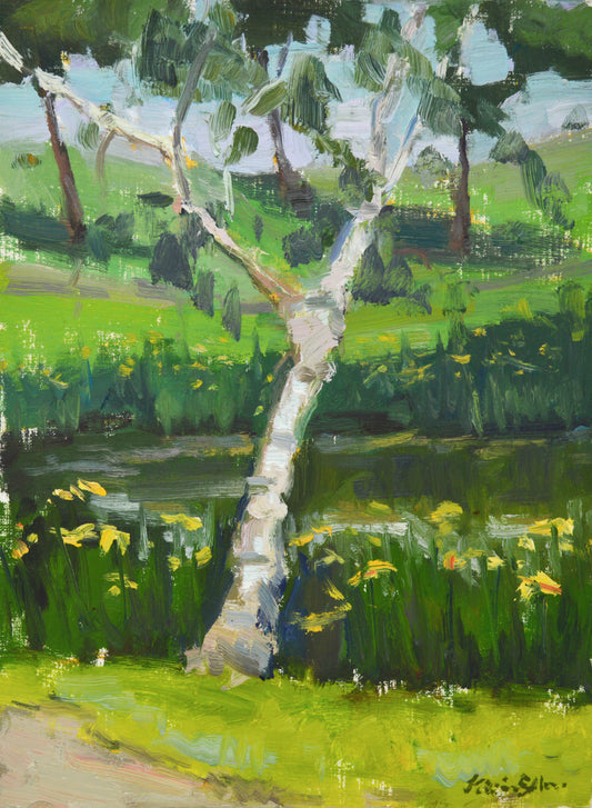 "Graceful Birch" 12x9 original painting by Artist Kristina Sellers